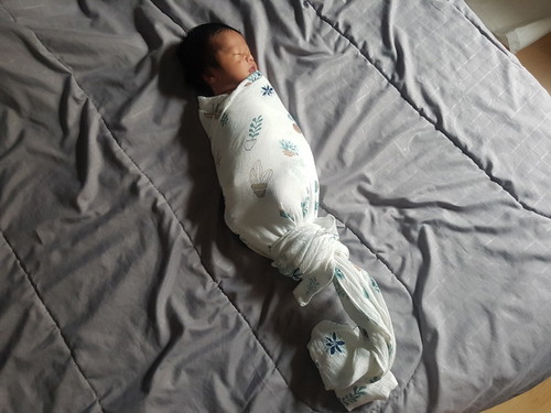 แชร์ประสบการณ์ลูกติดขวด ทานนมผงตั้งแต่มื้อแรก และการเอาเข้าเต้าแบบคุณแม่สายแข็ง