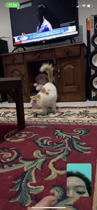 tsaqif’s mom profile icon