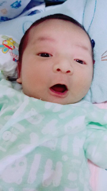 หลังส่องไฟ(ตัวเหลือง)