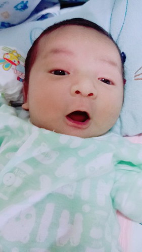 หลังส่องไฟ(ตัวเหลือง)