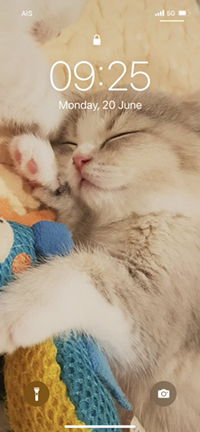 TariiNee profile icon