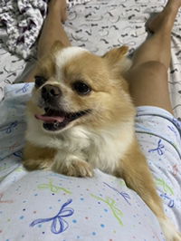 นิรชา โนกุญชร profile icon