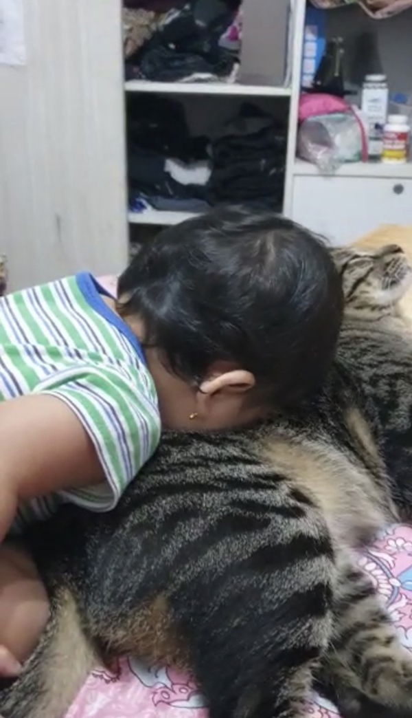 Vanessa MR profile icon