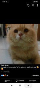 Novika Sri Wardani profile icon