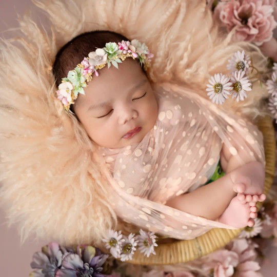 arabella profile icon