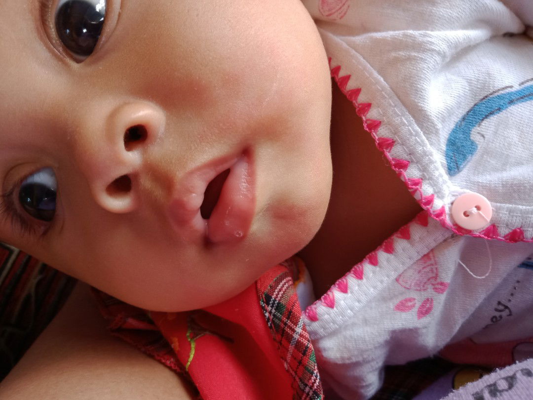 merah di bawah janggut