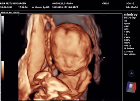 AngRiccc profile icon