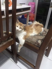 Lady Maylandita profile icon