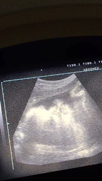 Patty J profile icon