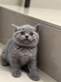 Ainaaaaaaaaa profile icon