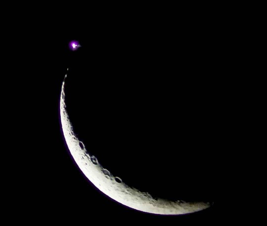 manggis profile icon