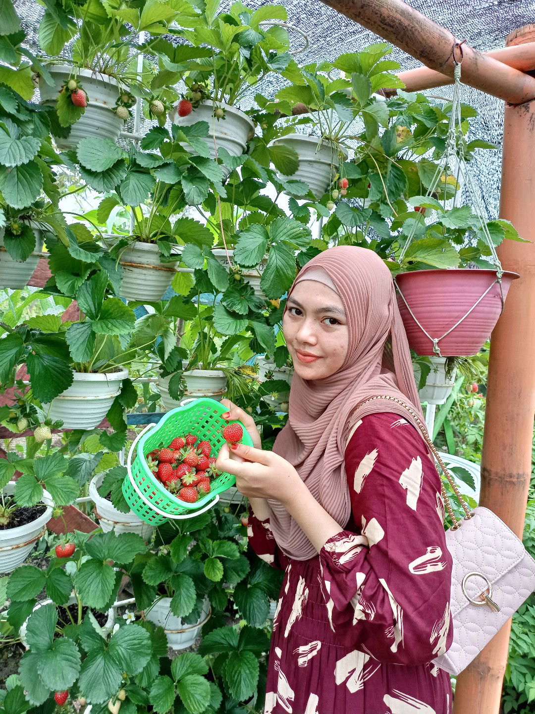 Anggi Cinthya Suma profile icon