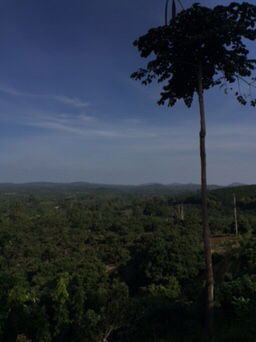 Chompoo profile icon