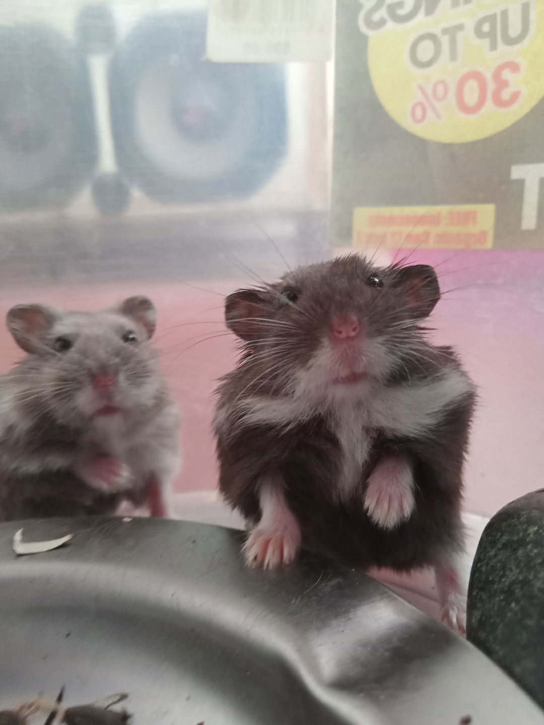 Anna Em profile icon