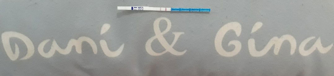 periksa dokter dan usg