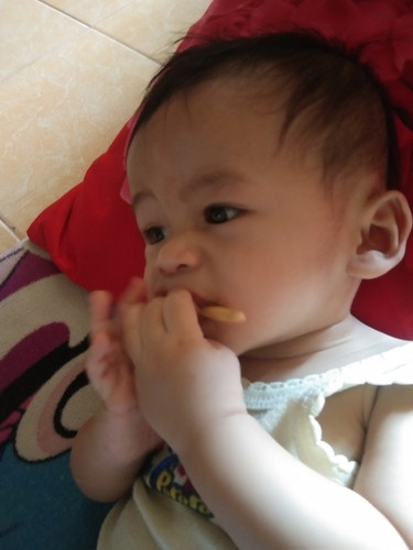 korban cuacs