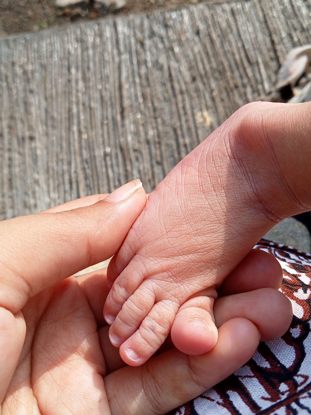 Sarah Zulya profile icon