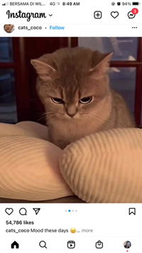 syazwana binti ahmad profile icon