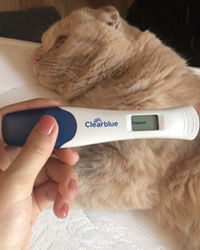 Nuttida profile icon