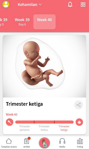 belom ada tanda-tanda