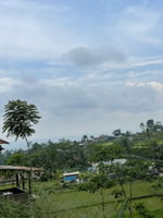 yanamila profile icon