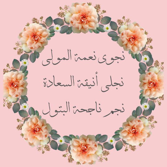 Auliya El Haq profile icon