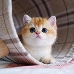 030221iyah'- profile icon