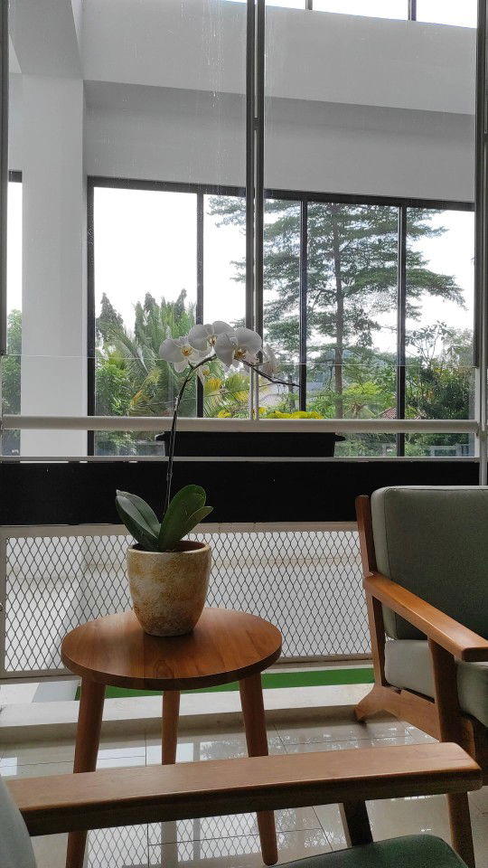 Anindya R profile icon