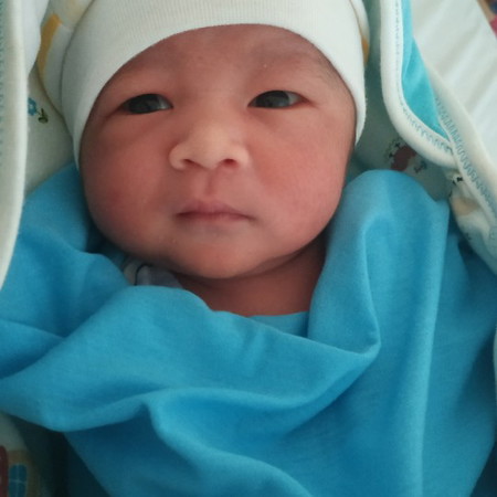 MAJU DRI HPL