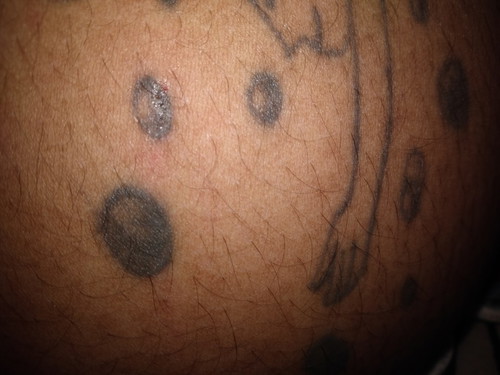 สัตว์เลี้ยง