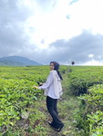 Yolly Fitra Utami profile icon