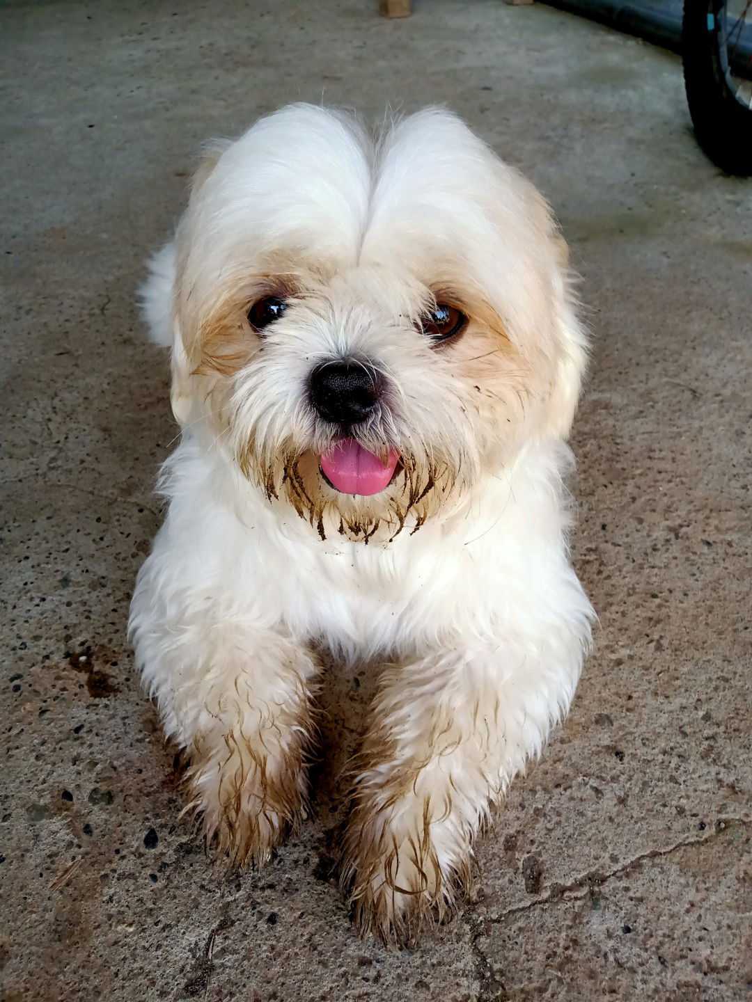 ᖱᓲ ᒏᕱᘉ profile icon