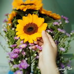 Bảo Nhi profile icon