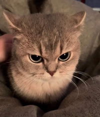 Kewalin profile icon