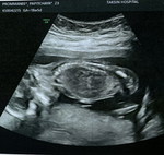 Preaw Papitchaya profile icon