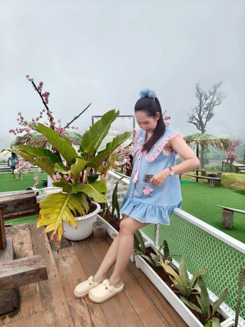 Pom Pam profile icon