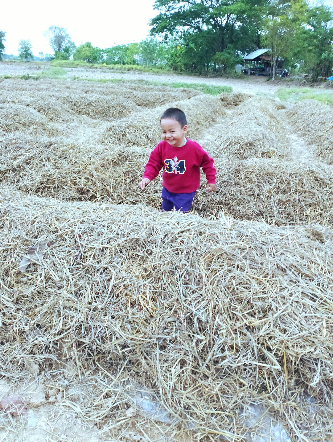 Wiphaporn Chaiwongkhot profile icon