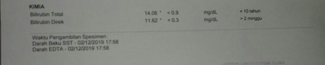 cek bilirubin
