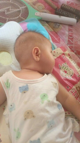 หมอนหัวทุย
