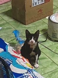 Jitlada Tikaew profile icon