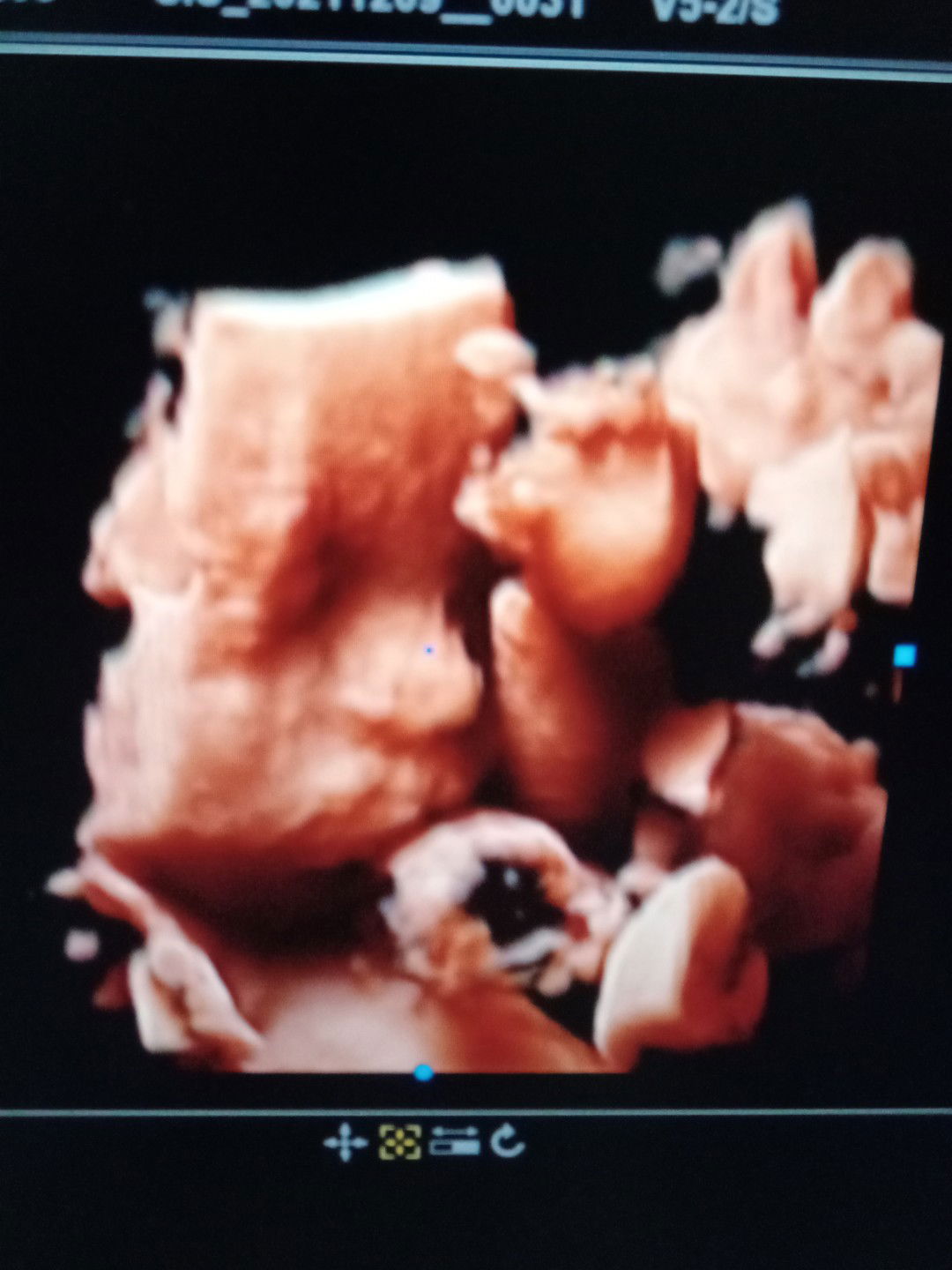 Netri Yuliantri profile icon