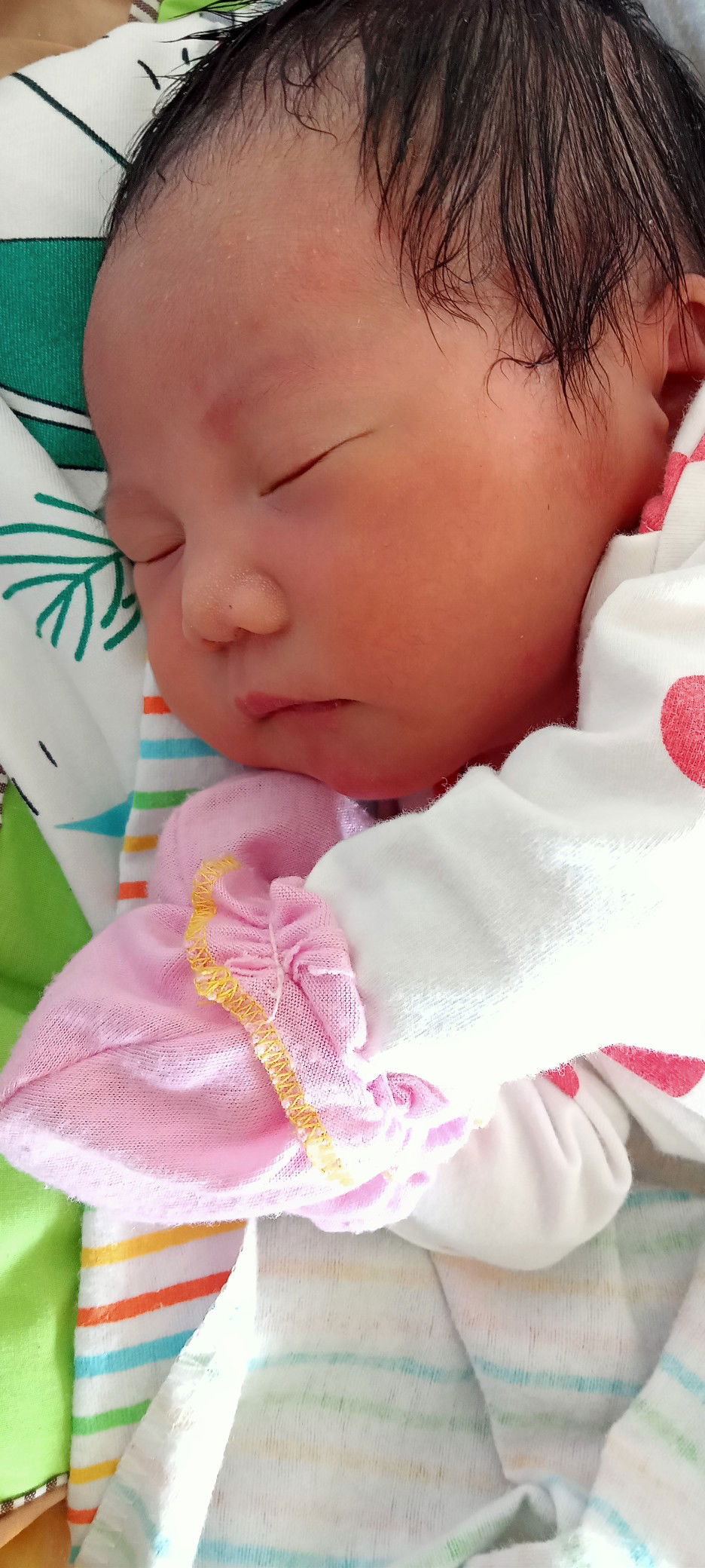 obispo crist profile icon