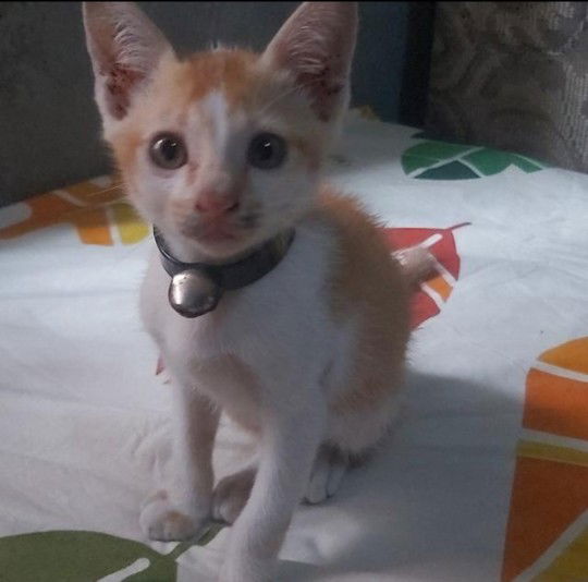 Winda Sari profile icon