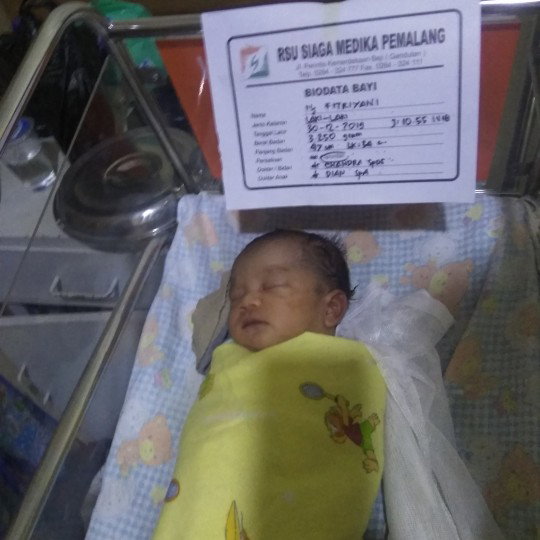 tbj baru lahir