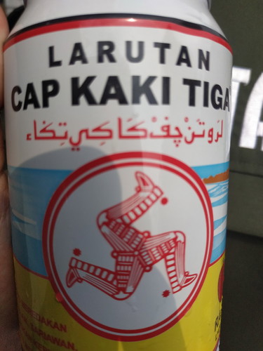 Kehamilan