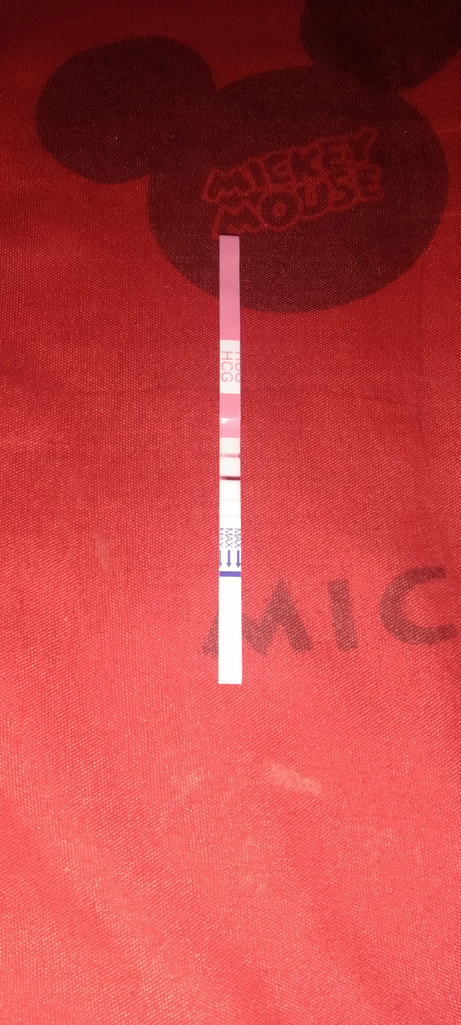 sroyphet pitpheng profile icon