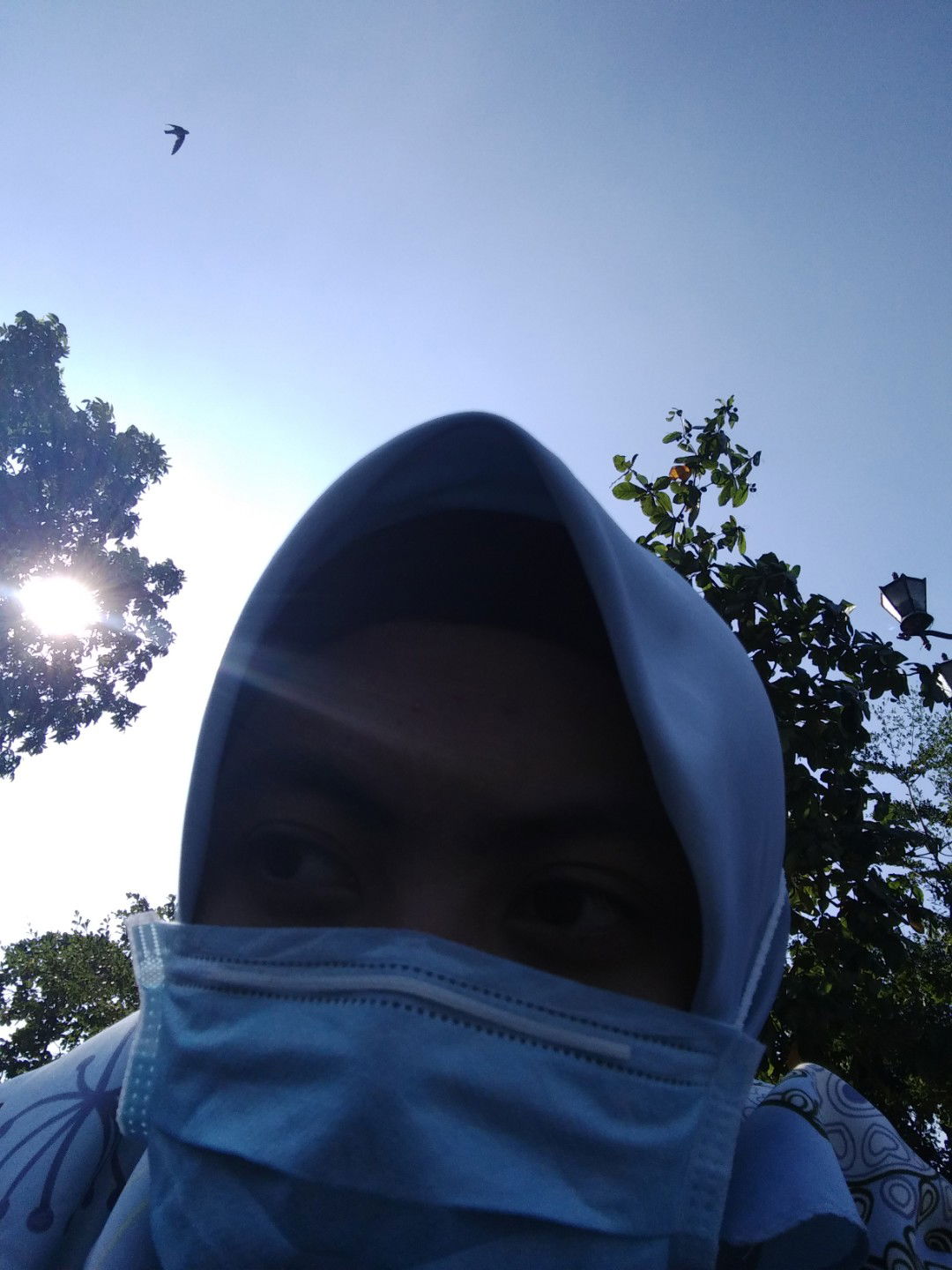 Iswa Assifia profile icon