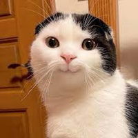 Na Noon profile icon