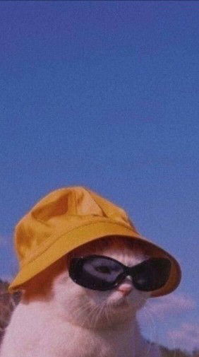 Fadianara profile icon