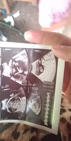 nelson undalig profile icon